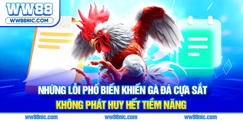 Những lỗi phổ biến khiến gà đá cựa sắt không phát huy hết tiềm năng
