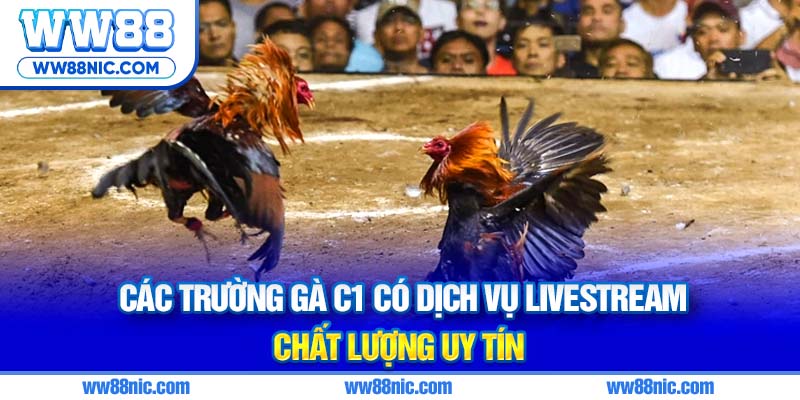 Các trường gà C1 có dịch vụ livestream chất lượng uy tín