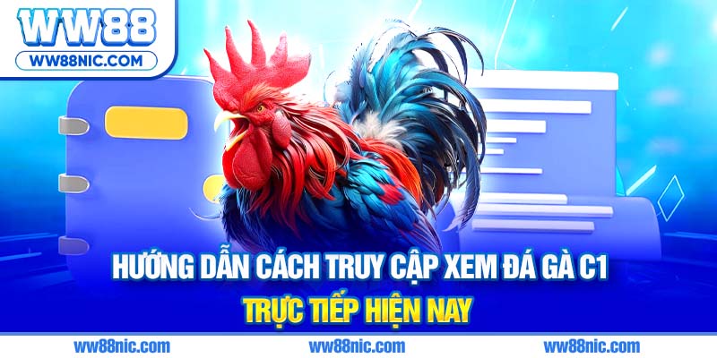 Hướng dẫn cách truy cập xem đá gà C1 trực tiếp hiện nay