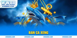 Ban ca xeng