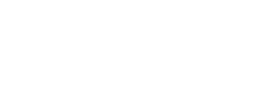 Google Icon